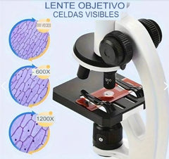 KIT MICROSCOPIO COMPUESTO C/LUZ - Ciencia y Curiosidad en Manos Pequeñas.