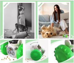 KINGO Dispensador de Alimento  – Juego Inteligente para Mascotas Felices